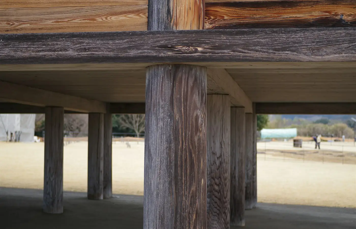 Timber posts and a heavy beam supporting an elevated platform (stock photo)